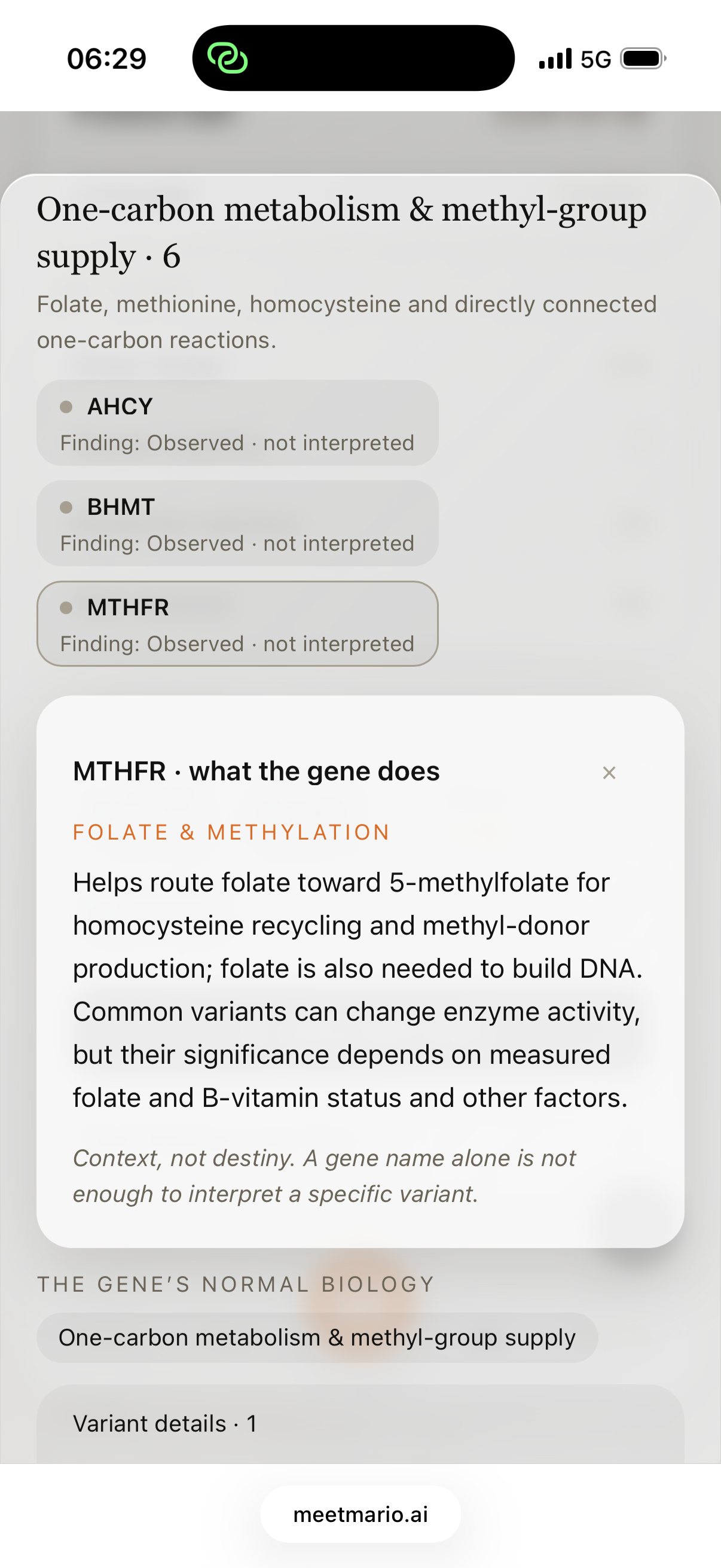 Anonymised native Meet Mario screen explaining a gene in clinical context